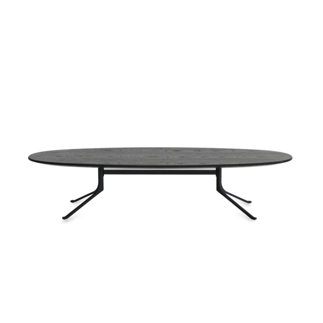 Blink Oval Coffee Table - Wood Top